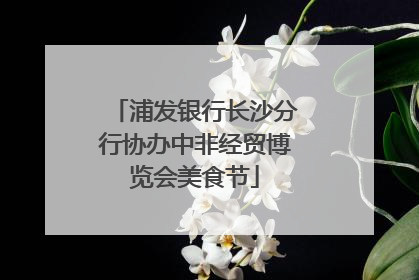 浦发银行长沙分行协办中非经贸博览会美食节
