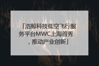 浩鲸科技低空飞行服务平台MWC上海首秀，推动产业创新