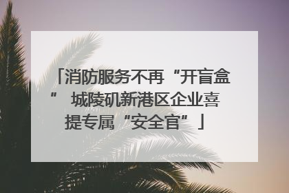 消防服务不再“开盲盒” 城陵矶新港区企业喜提专属“安全官”