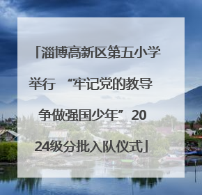 淄博高新区第五小学举行 “牢记党的教导 争做强国少年”2024级分批入队仪式