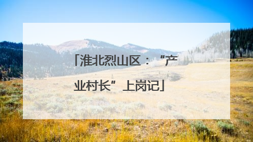 淮北烈山区：“产业村长”上岗记