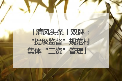 清风头条丨双牌：“提级监督”规范村集体“三资”管理
