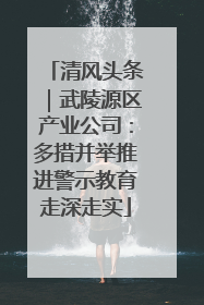 清风头条｜武陵源区产业公司：多措并举推进警示教育走深走实