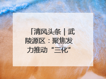 清风头条｜武陵源区：聚焦发力推动“三化”建设年行动