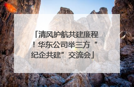 清风护航共建廉程！华东公司举三方“纪企共建”交流会