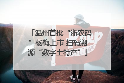 温州首批“浙农码”杨梅上市 扫码溯源“数字土特产”