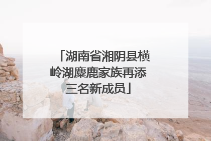 湖南省湘阴县横岭湖麋鹿家族再添三名新成员