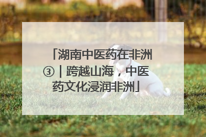 湖南中医药在非洲③｜跨越山海，中医药文化浸润非洲