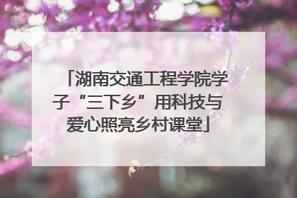 湖南交通工程学院学子“三下乡”用科技与爱心照亮乡村课堂