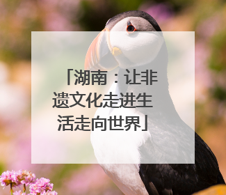 湖南：让非遗文化走进生活走向世界