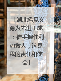 湖北省见义勇为先进王成：徒手握住利刃救人，这是我的责任和使命
