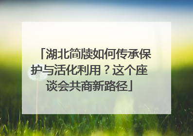 湖北简牍如何传承保护与活化利用？这个座谈会共商新路径