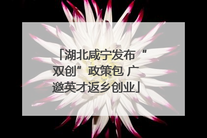 湖北咸宁发布“双创”政策包 广邀英才返乡创业