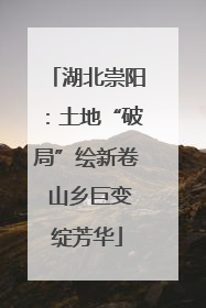 湖北崇阳：土地“破局”绘新卷 山乡巨变绽芳华