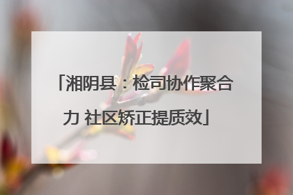 湘阴县：检司协作聚合力 社区矫正提质效