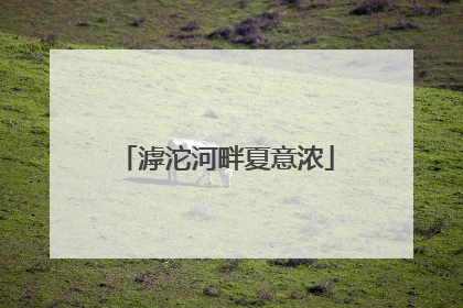 滹沱河畔夏意浓