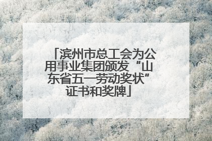 滨州市总工会为公用事业集团颁发“山东省五一劳动奖状”证书和奖牌