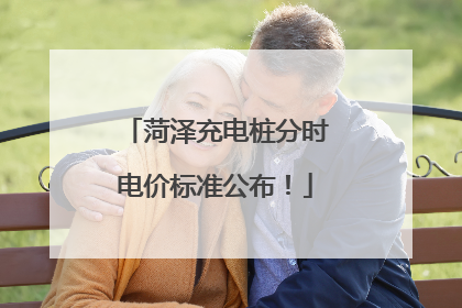 菏泽充电桩分时电价标准公布！