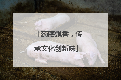 药膳飘香，传承文化创新味