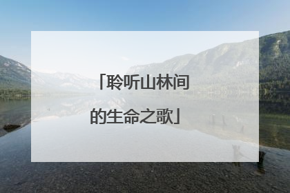 聆听山林间的生命之歌