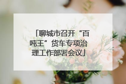聊城市召开“百吨王”货车专项治理工作部署会议