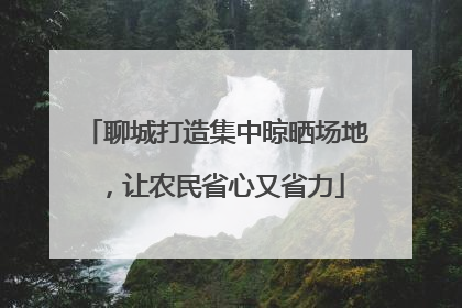 聊城打造集中晾晒场地，让农民省心又省力