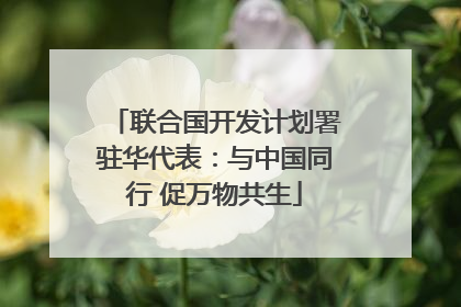 联合国开发计划署驻华代表：与中国同行 促万物共生