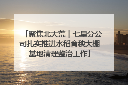 聚焦北大荒｜七星分公司扎实推进水稻育秧大棚基地清理整治工作