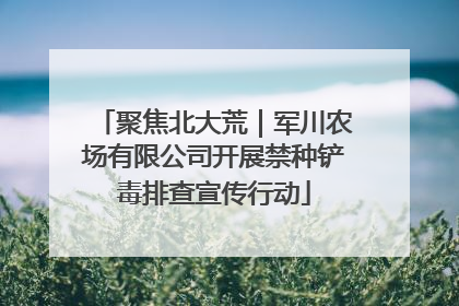 聚焦北大荒｜军川农场有限公司开展禁种铲毒排查宣传行动