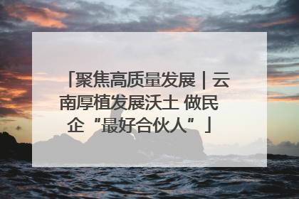 聚焦高质量发展｜云南厚植发展沃土 做民企“最好合伙人”