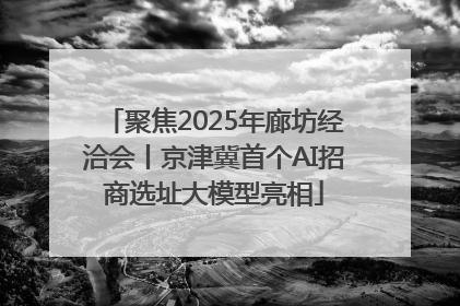 聚焦2025年廊坊经洽会丨京津冀首个AI招商选址大模型亮相