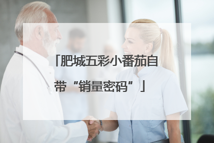 肥城五彩小番茄自带“销量密码”