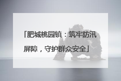 肥城桃园镇：筑牢防汛屏障，守护群众安全
