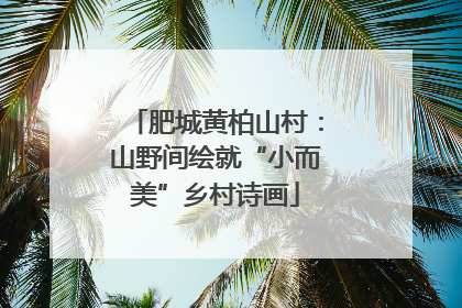 肥城黄柏山村：山野间绘就“小而美”乡村诗画