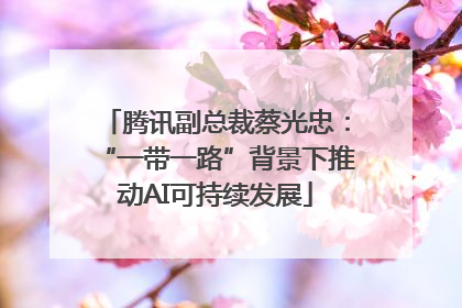 腾讯副总裁蔡光忠：“一带一路”背景下推动AI可持续发展