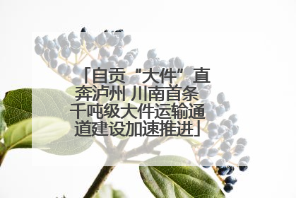 自贡“大件”直奔泸州 川南首条千吨级大件运输通道建设加速推进