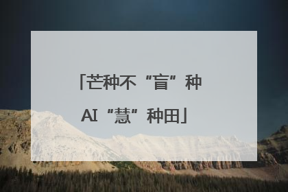 芒种不“盲”种 AI“慧”种田