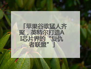 苹果谷歌猛人齐聚，英特尔打造AI芯片界的“复仇者联盟”