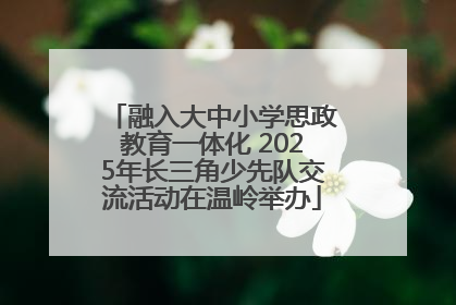 融入大中小学思政教育一体化 2025年长三角少先队交流活动在温岭举办