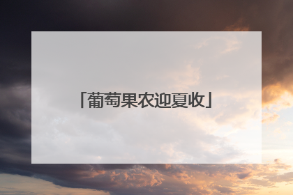 葡萄果农迎夏收