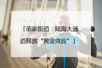董家街道：陆海大通道释放“黄金效应”