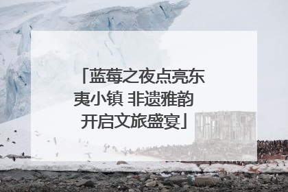 蓝莓之夜点亮东夷小镇 非遗雅韵开启文旅盛宴