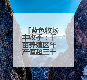 蓝色牧场丰收季：千亩养殖区年产值超三千万 海产经济活力足