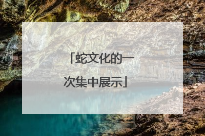 蛇文化的一次集中展示