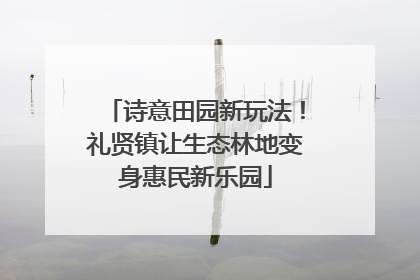 诗意田园新玩法！礼贤镇让生态林地变身惠民新乐园