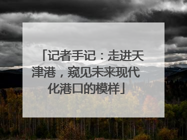 记者手记：走进天津港，窥见未来现代化港口的模样