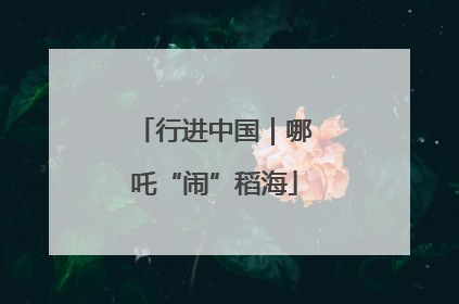 行进中国｜哪吒“闹”稻海