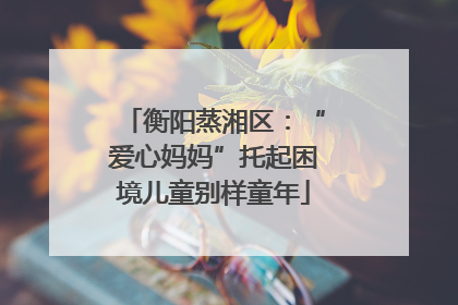 衡阳蒸湘区：“爱心妈妈”托起困境儿童别样童年