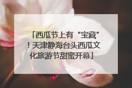 西瓜节上有“宝藏”！天津静海台头西瓜文化旅游节甜蜜开幕