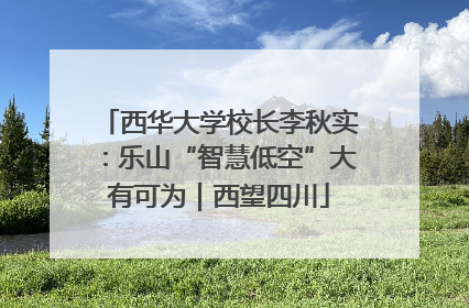 西华大学校长李秋实：乐山“智慧低空”大有可为｜西望四川